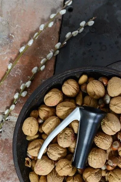 картинка Щипцы для орехов Drosselmeyer, Черный от магазина Одежда+