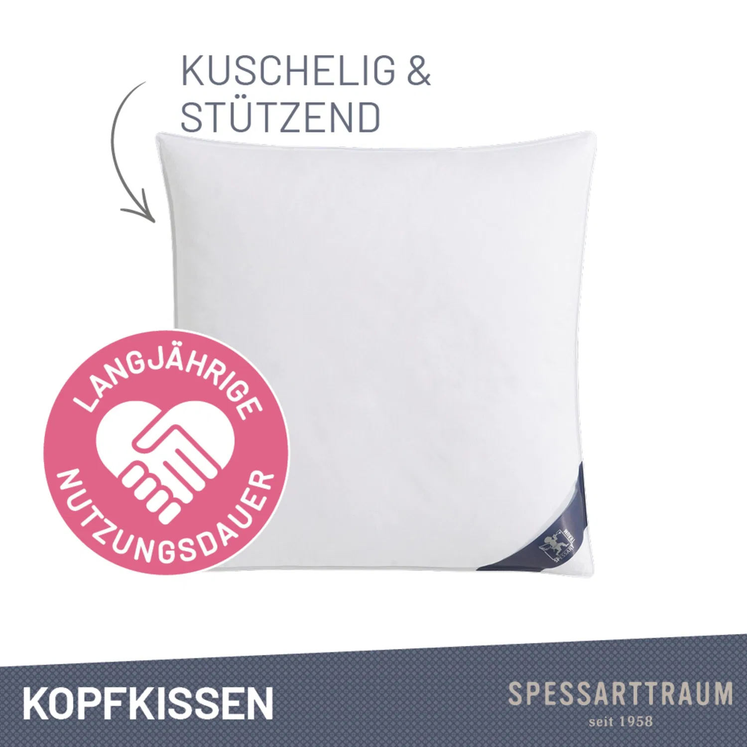 картинка Подушка FIRST CLASS SPESSARTTRAUM, 60x60 см от магазина Одежда+