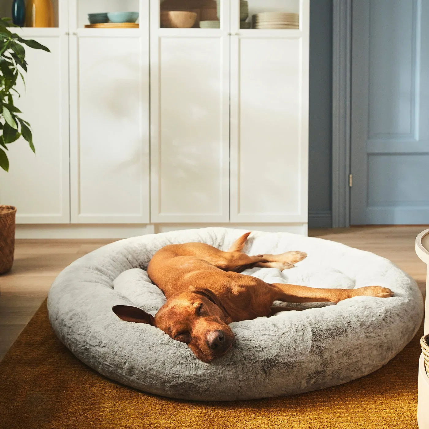 картинка UTSÅDD IKEA Лежанка для животных, светло-серая, размер XL от магазина Одежда+