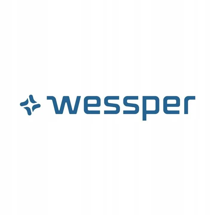 картинка Сменные фильтры для воды Wessper, 2 шт от магазина Одежда+