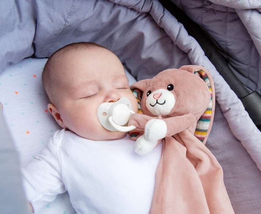 картинка Зазу Бекки, колибри, милый кролик Zazu Kids от магазина Одежда+