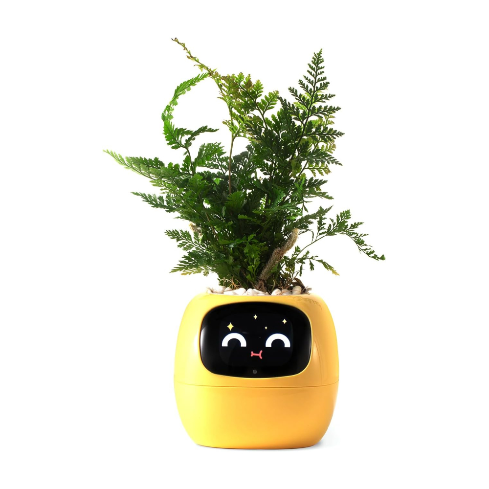 картинка Умный горшок для домашних растений PlantsIO IVY, желтый от магазина Одежда+