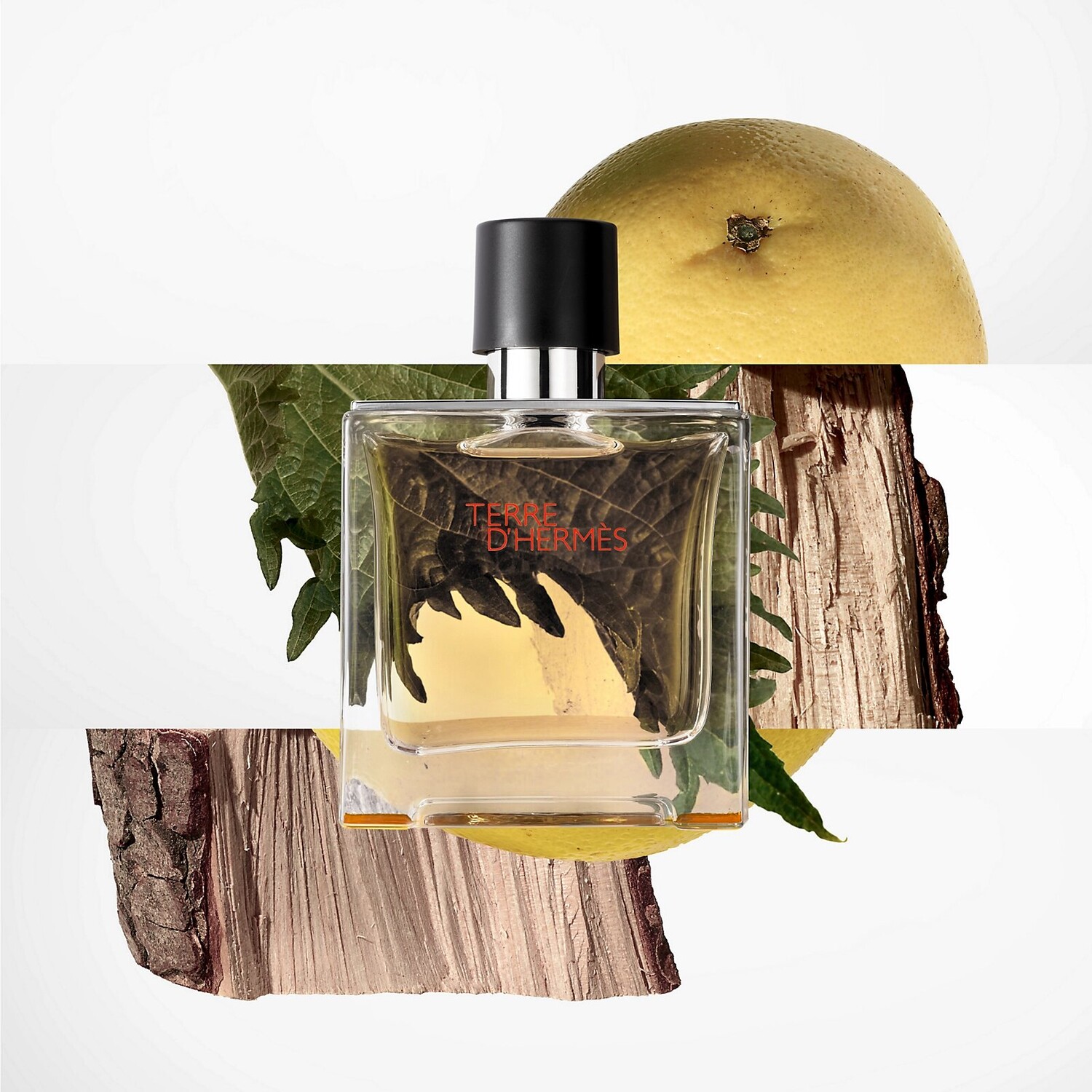 картинка Туалетная вода Terre d'Hermes от магазина Одежда+