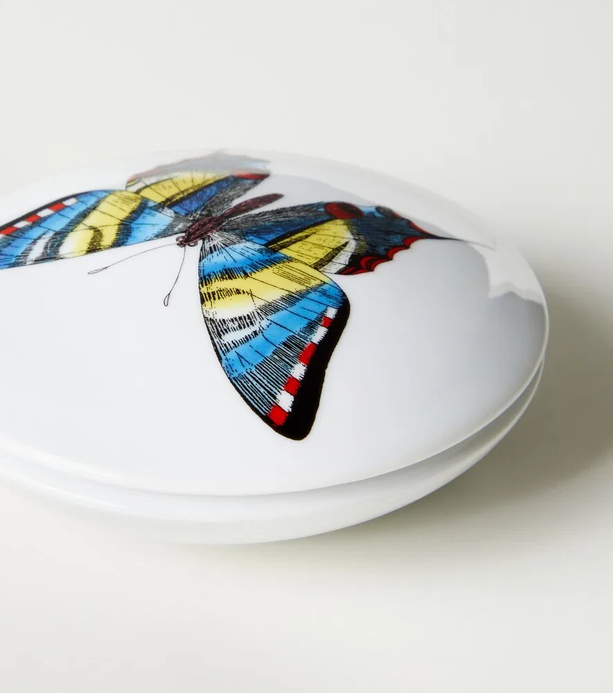 картинка Фарфоровый контейнер Фарфалле Fornasetti, белый от магазина Одежда+