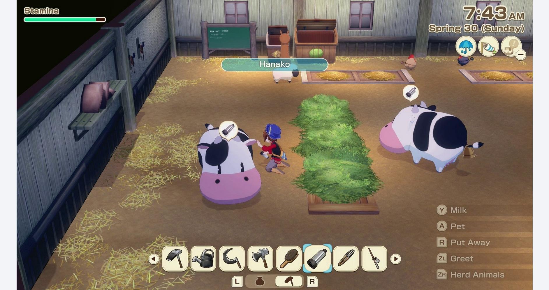 картинка Видеоигра Story of Seasons Grand Bazaar, Nintendo Switch 2 от магазина Одежда+