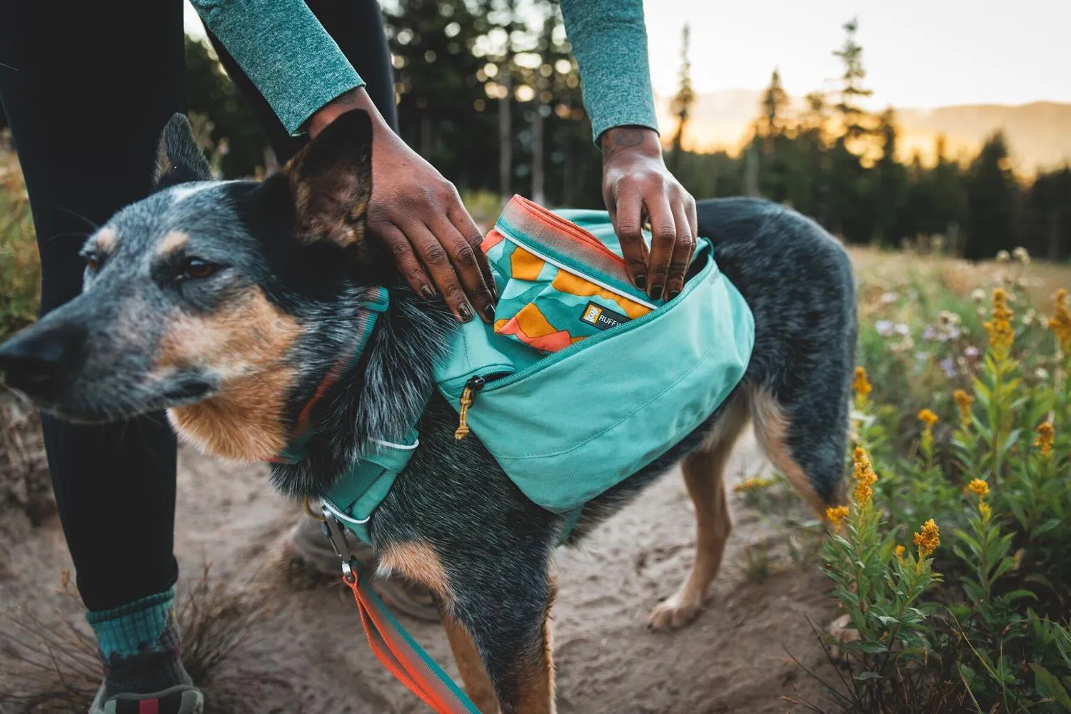 картинка Поилка для собак Quencher Ruffwear, Spring Mountains от магазина Одежда+