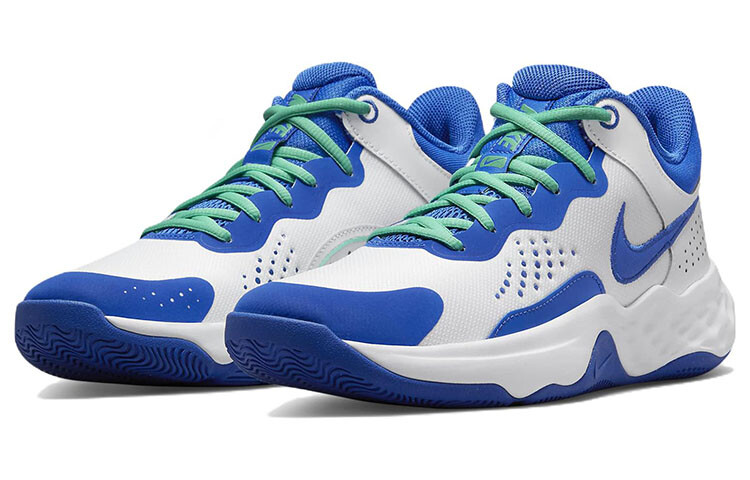 картинка Мужские баскетбольные кроссовки Nike FlyBy Mid 3 от магазина Одежда+