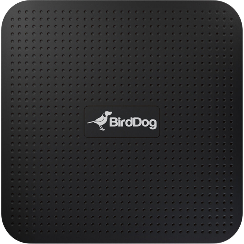 картинка BirdDog PLAY 4K NDI Player от магазина Одежда+