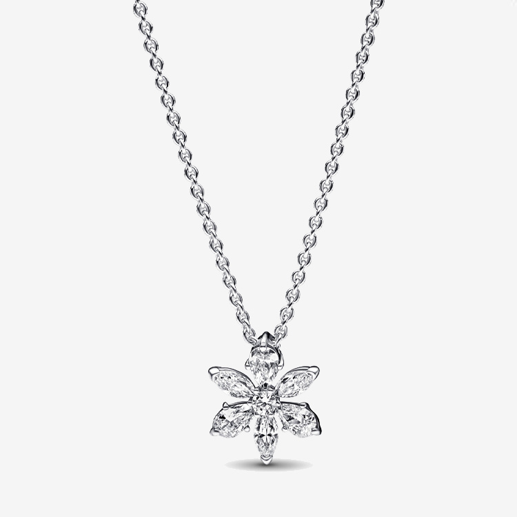 картинка Pandora Серебряное колье 925 пробы от магазина Одежда+