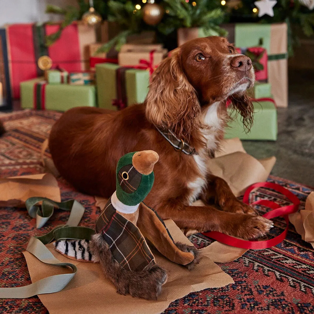 картинка Игрушка для собак Pheasant Dog Toy Barbour, Classic Tartan от магазина Одежда+