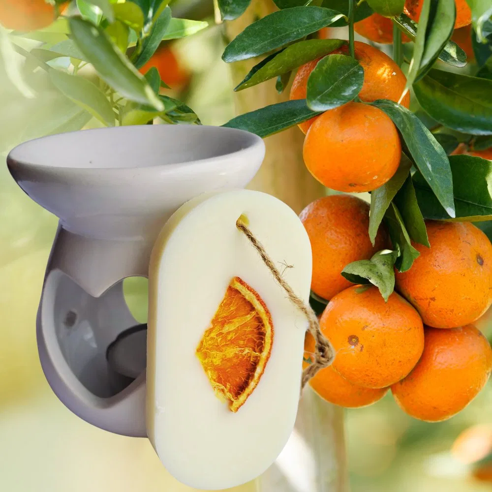 картинка Ароматическая подвеска с ароматом апельсина Ravina, Orange от магазина Одежда+