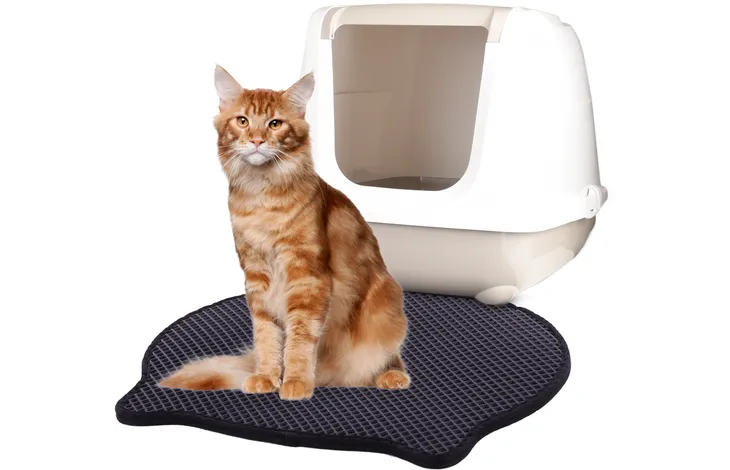 картинка Flamingo Matz Черный коврик для кошачьего туалета 50х40см, цвет черный от магазина Одежда+