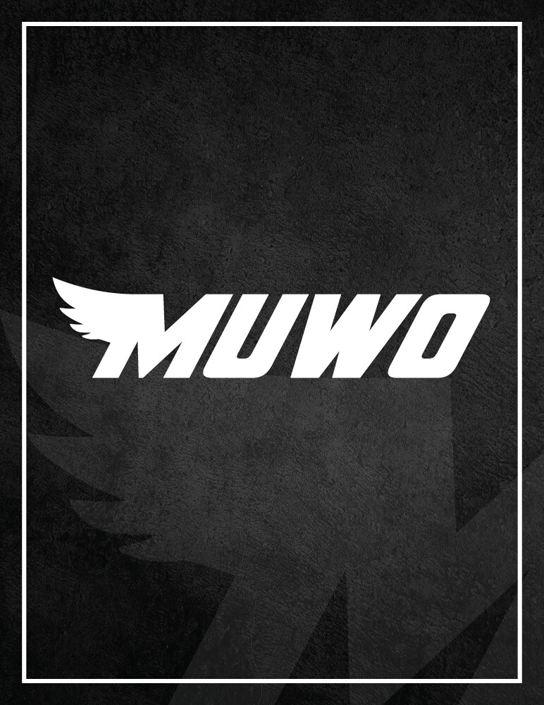 картинка Мяч для хоккея на траве MUWO белый от магазина Одежда+