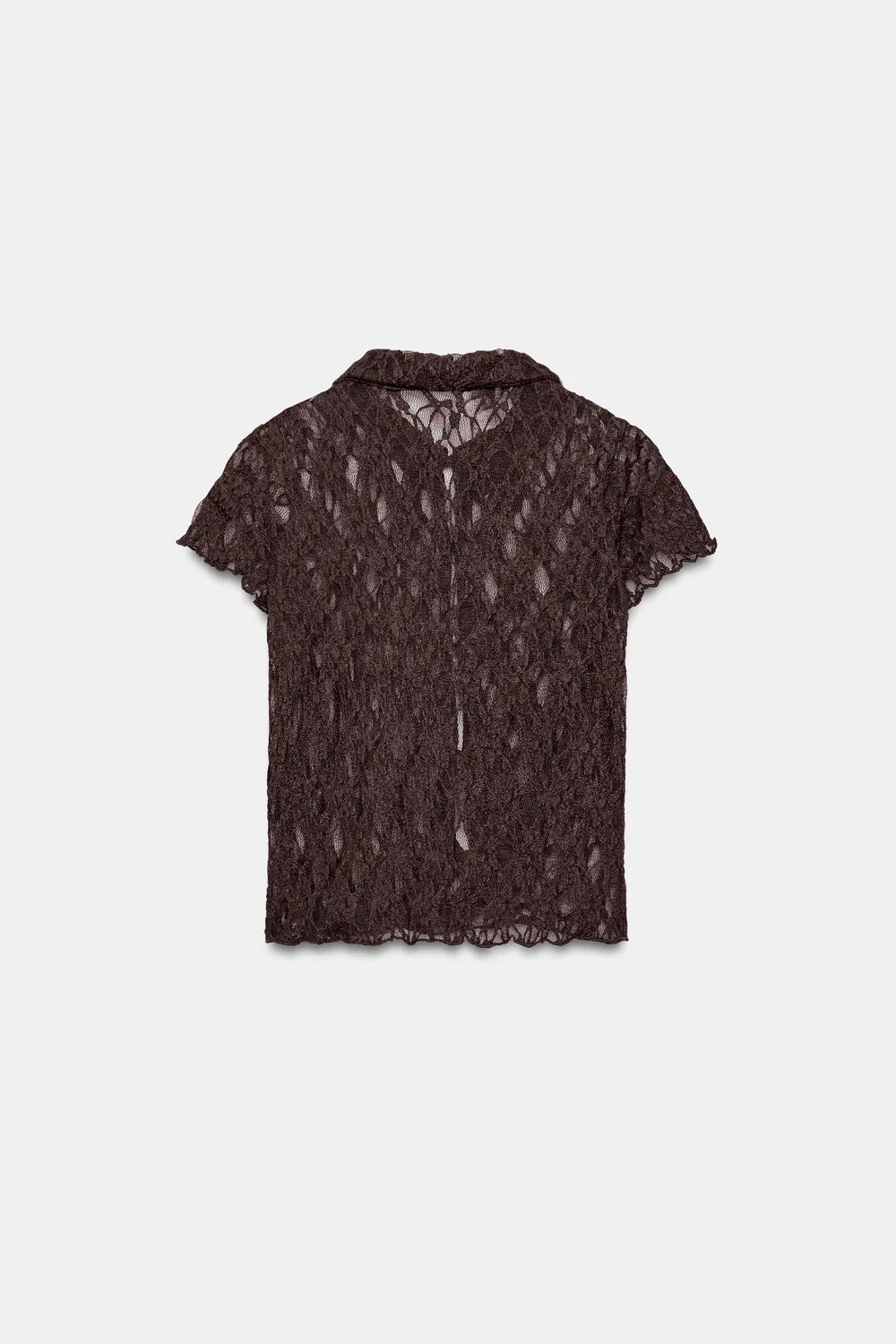 картинка Кружевная рубашка на пуговицах ZARA, Chocolate от магазина Одежда+