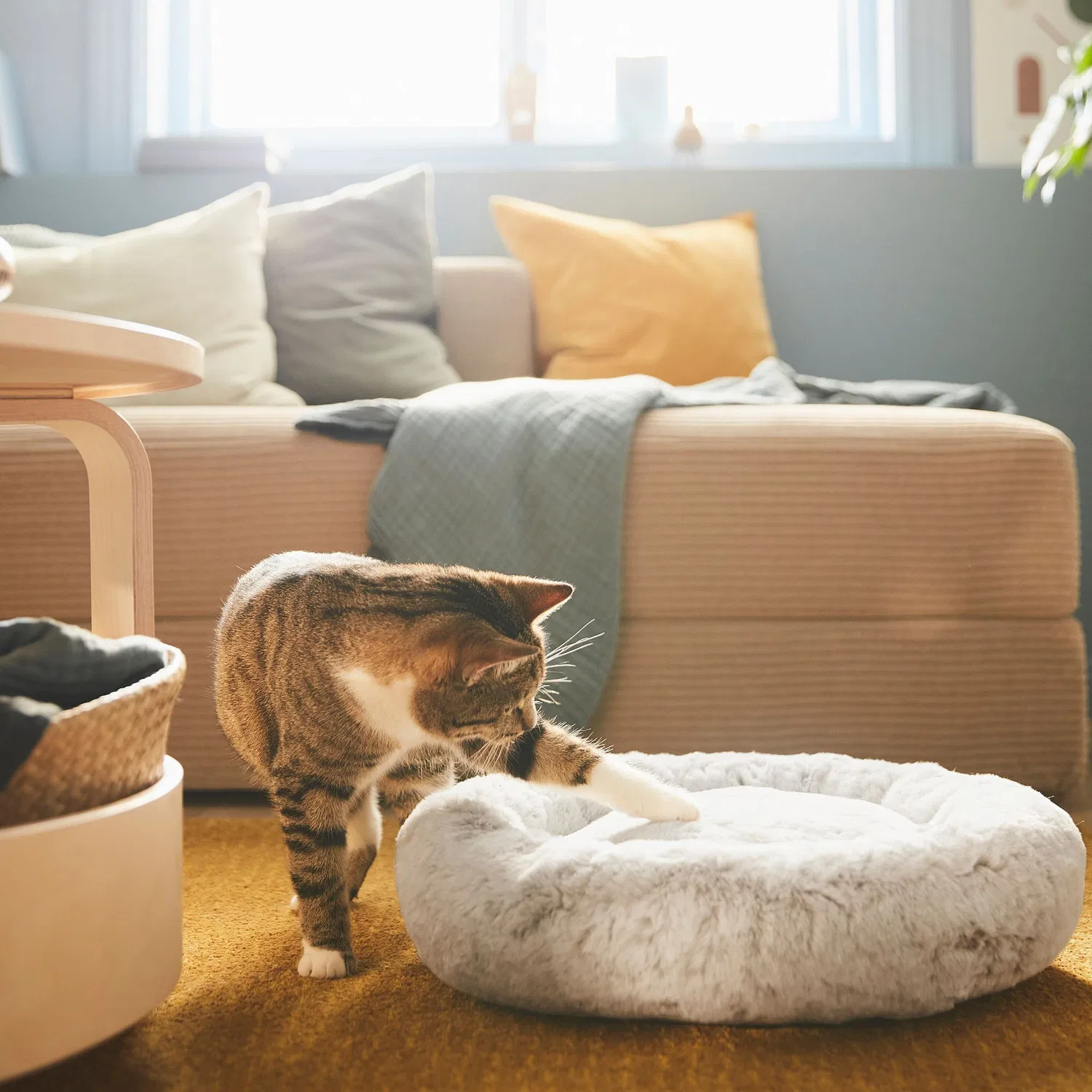 картинка IKEA Utsadd Лежанка для животных, светло-серая, 45x10 см от магазина Одежда+