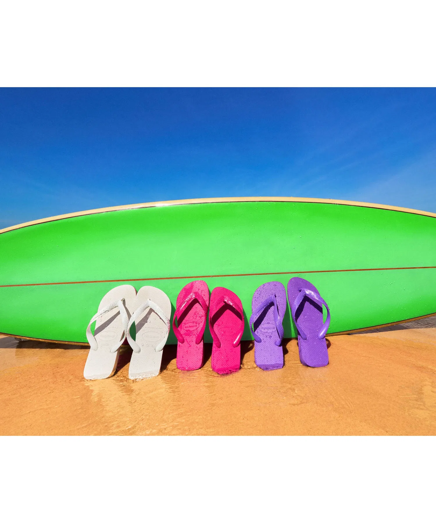 картинка Мужские/женские/детские сандалии Havaianas TOP от магазина Одежда+