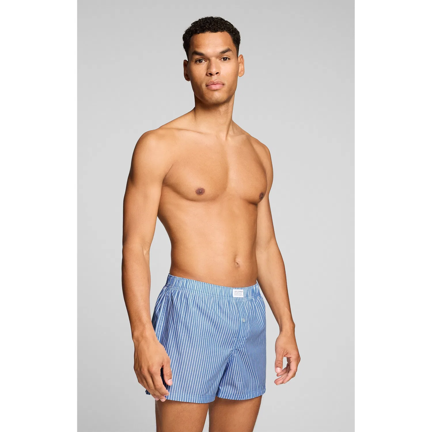 картинка Мужские боксеры с эластичным поясом Levi's, Light Blue/Navy от магазина Одежда+