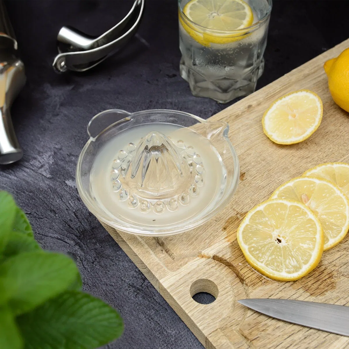 картинка Ручная соковыжималка для цитрусовых стеклянная KADAX, Transparent от магазина Одежда+